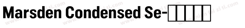 Marsden Condensed Se字体转换